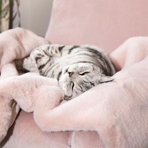 cheshire and wain london cat cloud® throw & bed set